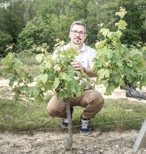 vins aoc Saint-Nicolas-de-Bourgueil dans l'Indre-et-Loire 37